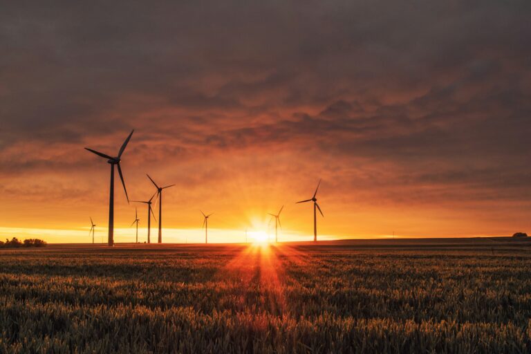 IT’s groene revolutie: duurzaamheid en milieubewustzijn